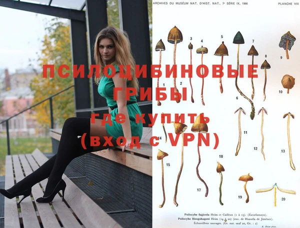 меф Нея