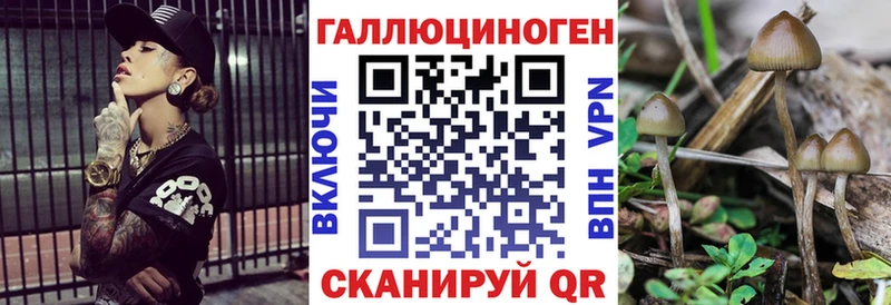 Псилоцибиновые грибы ЛСД Шлиссельбург